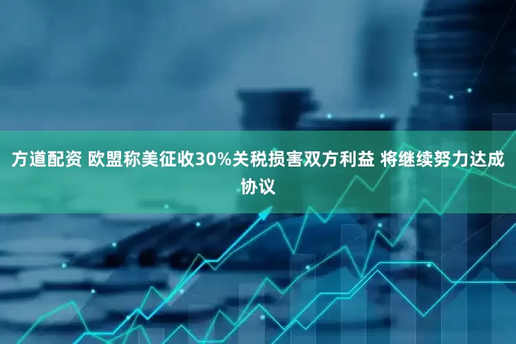 方道配资 欧盟称美征收30%关税损害双方利益 将继续努力达成协议