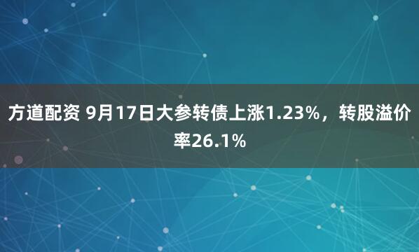 方道配资 9月17日大参转债上涨1.23%，转股溢价率26.1%