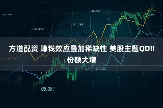 方道配资 赚钱效应叠加稀缺性 美股主题QDII份额大增