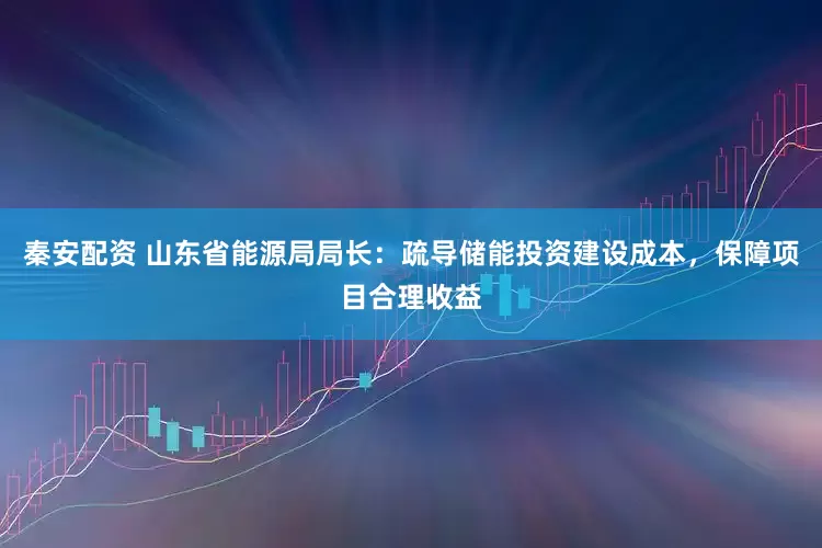 秦安配资 山东省能源局局长：疏导储能投资建设成本，保障项目合理收益