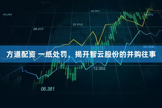 方道配资 一纸处罚，揭开智云股份的并购往事